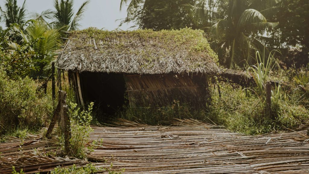 How to build a survival shelter in the wild 3 THE BENEFITS OF BUILDING A SURVIVAL SHELTER