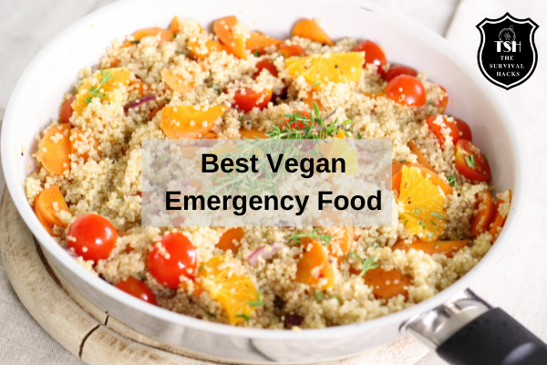 5 Best Vegan Emergency Food Kit in 2023 2